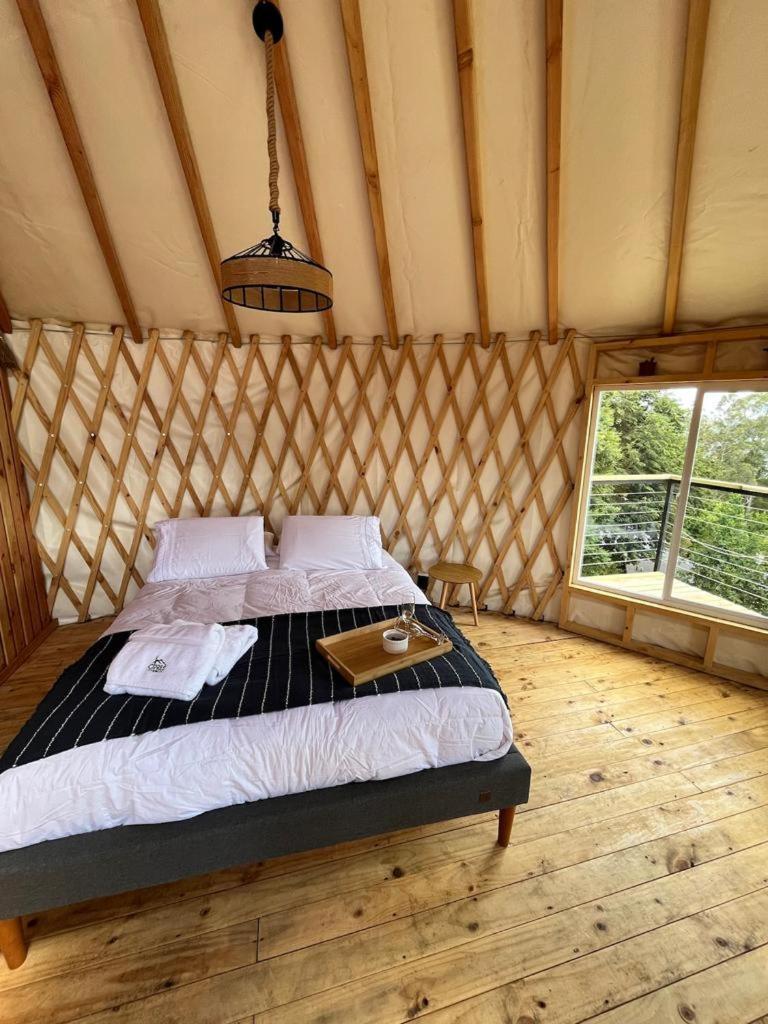Cipres & Lodge